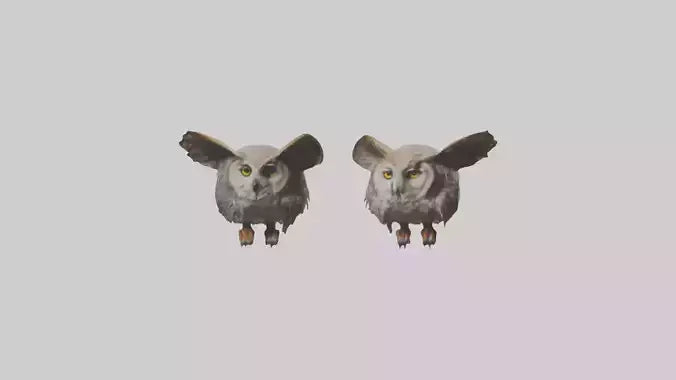 3D model Owl Eyes Model VR / AR / low-poly