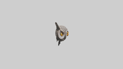 3D model Owl Eyes Model VR / AR / low-poly