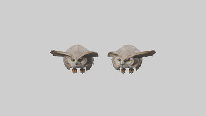 3D model Owl Eyes Model VR / AR / low-poly