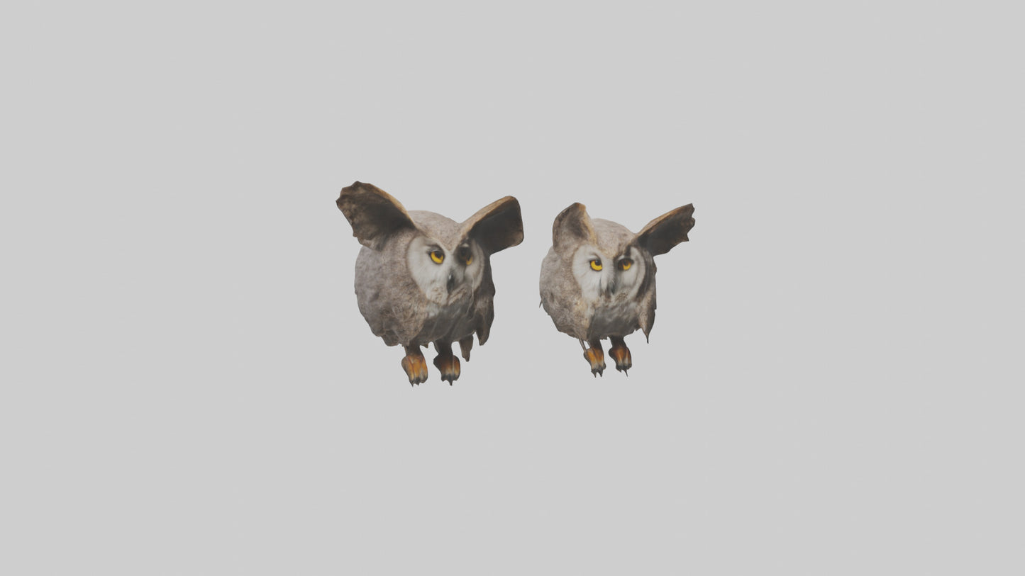 3D model Owl Eyes Model VR / AR / low-poly