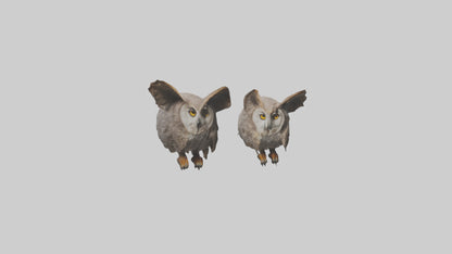 3D model Owl Eyes Model VR / AR / low-poly