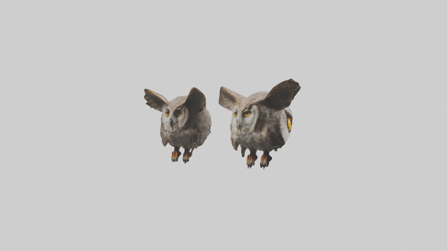 3D model Owl Eyes Model VR / AR / low-poly
