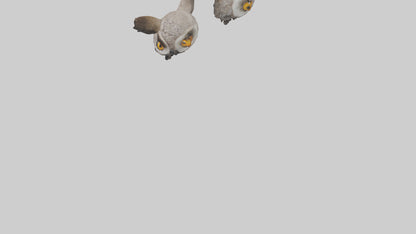 3D model Owl Eyes Model VR / AR / low-poly