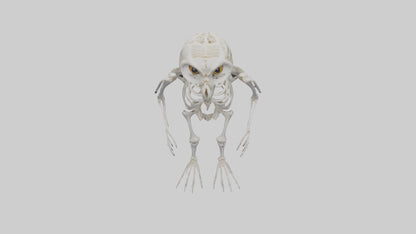 3D model Owl Skeleton model VR / AR / low-poly