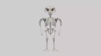 3D model Owl Skeleton model VR / AR / low-poly