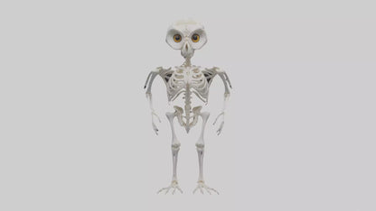 3D model Owl Skeleton model VR / AR / low-poly