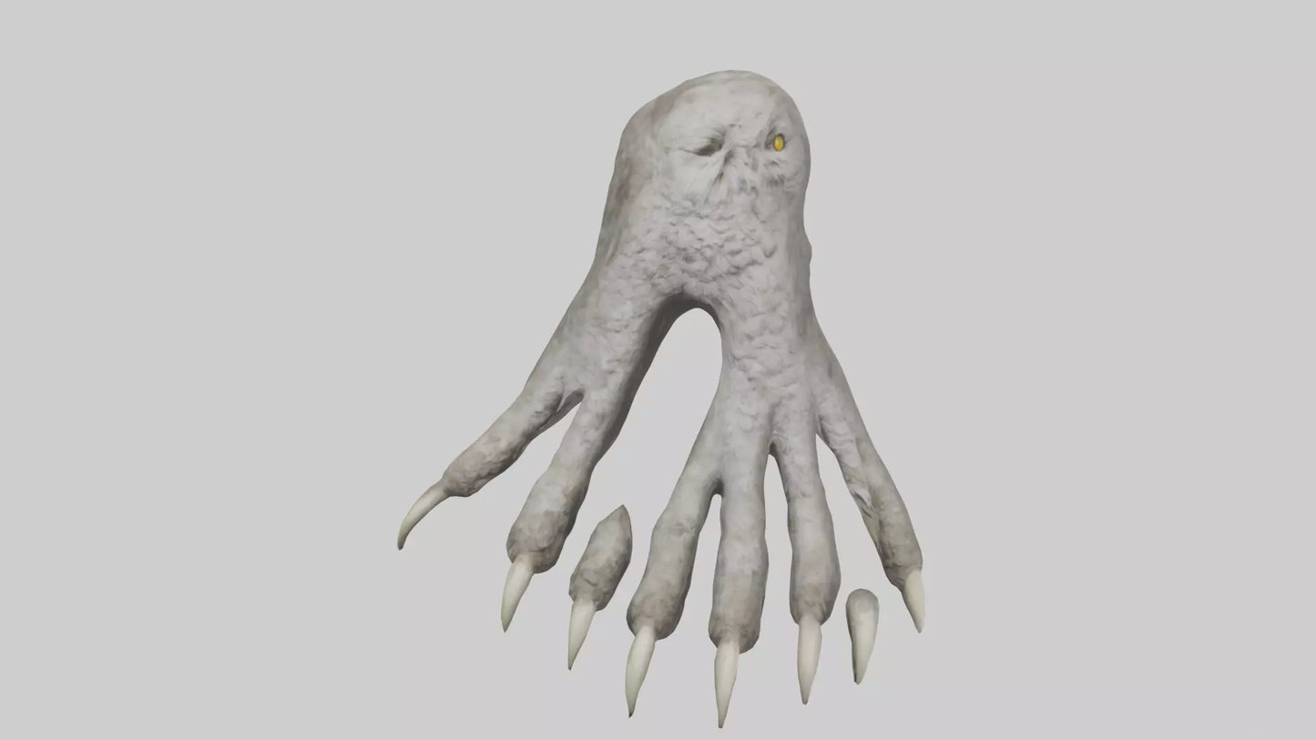 Owl Talons Model VR / AR / low-poly