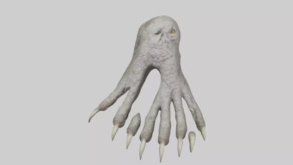 Owl Talons Model VR / AR / low-poly