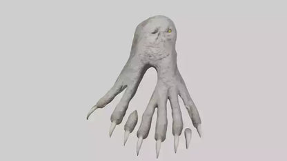 Owl Talons Model VR / AR / low-poly
