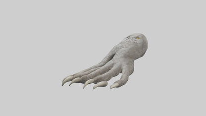 Owl Talons Model VR / AR / low-poly