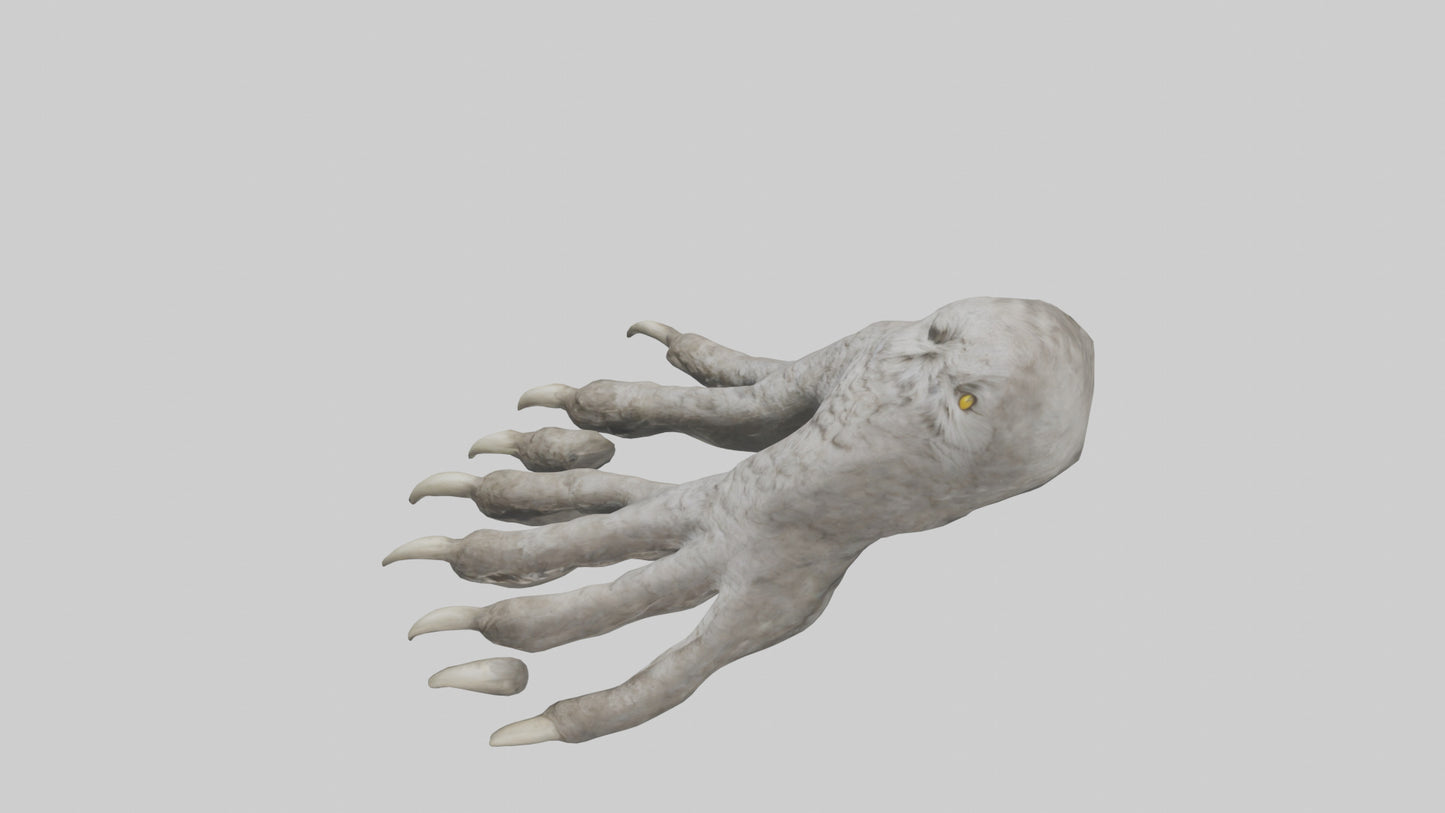 Owl Talons Model VR / AR / low-poly