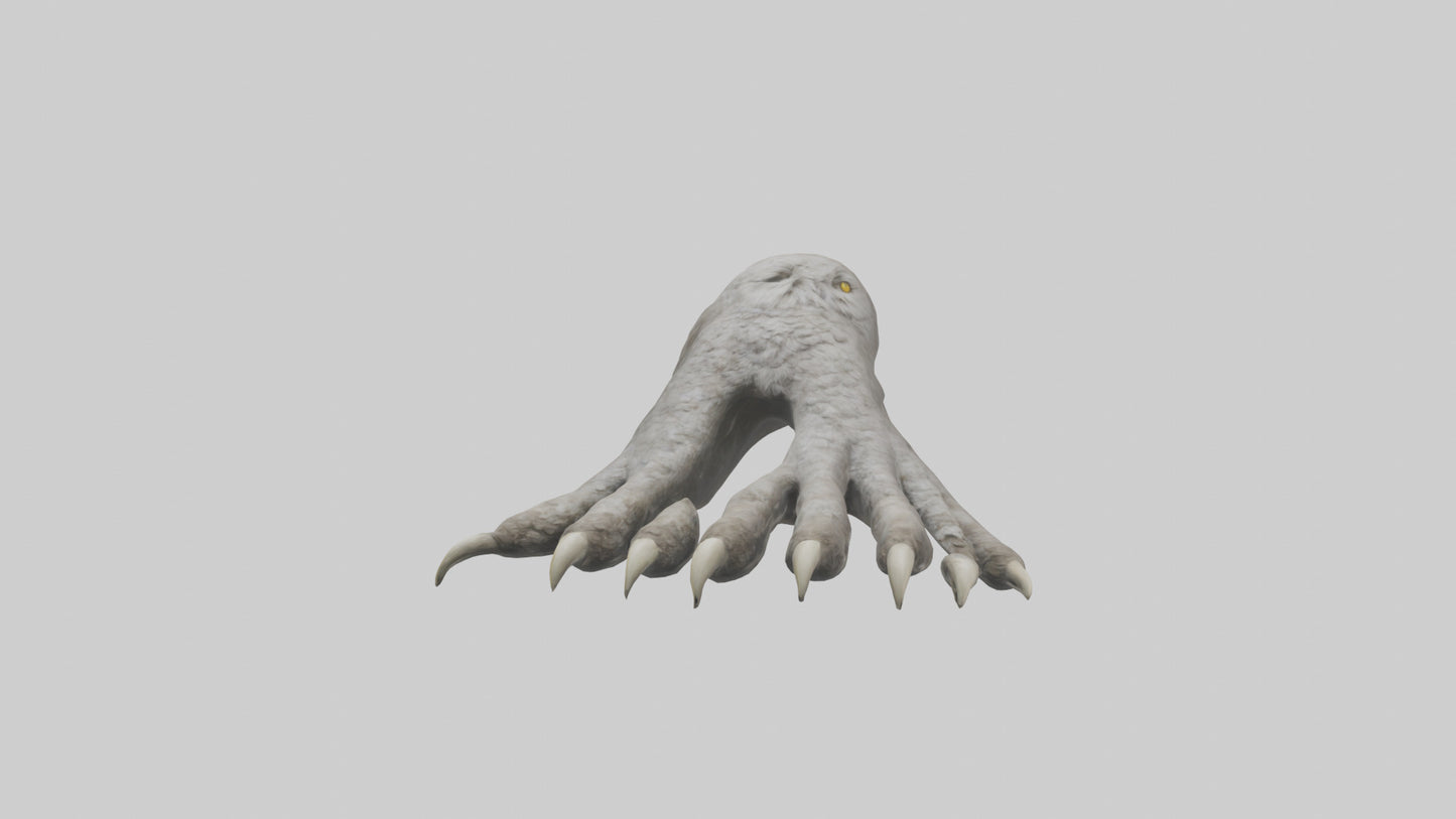 Owl Talons Model VR / AR / low-poly