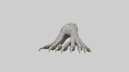 Owl Talons Model VR / AR / low-poly