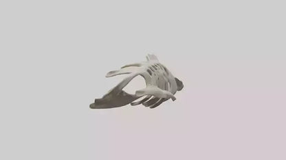 3D model Owl Vertebrae VR / AR / low-poly