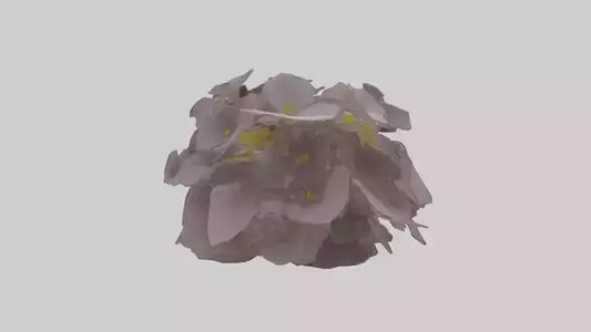 Oxalis model 3D model