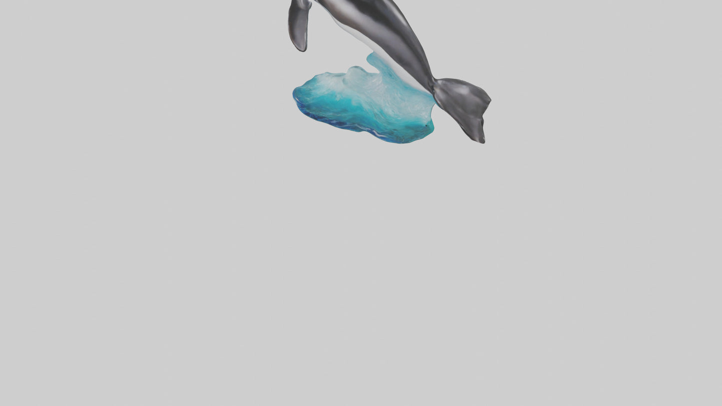 3D model Pacific Whitesided Dolphin statue model VR / AR / low-poly