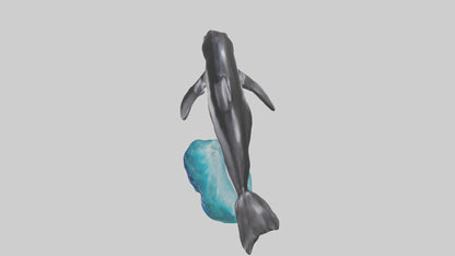 3D model Pacific Whitesided Dolphin statue model VR / AR / low-poly