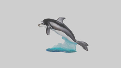 3D model Pacific Whitesided Dolphin statue model VR / AR / low-poly