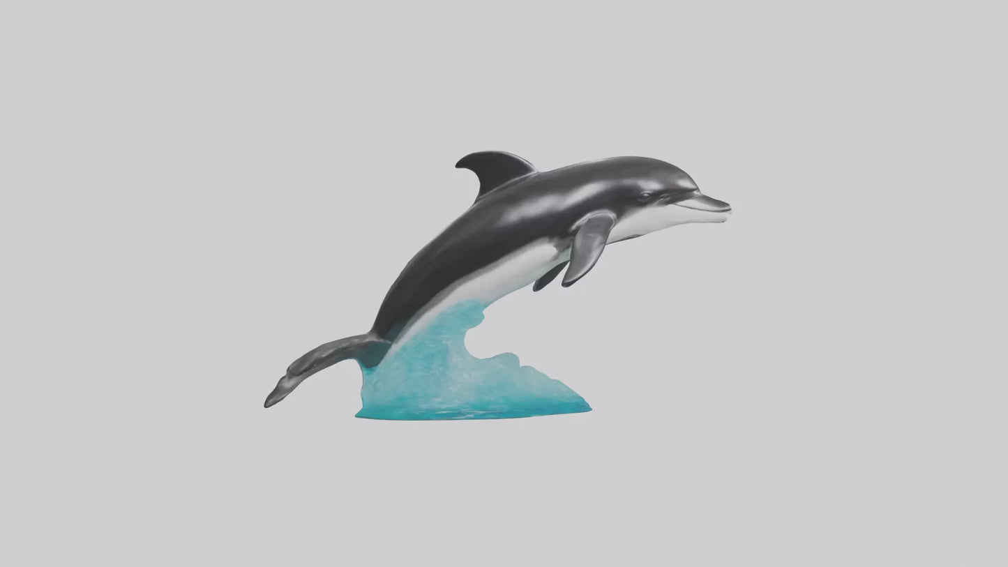 3D model Pacific Whitesided Dolphin statue model VR / AR / low-poly