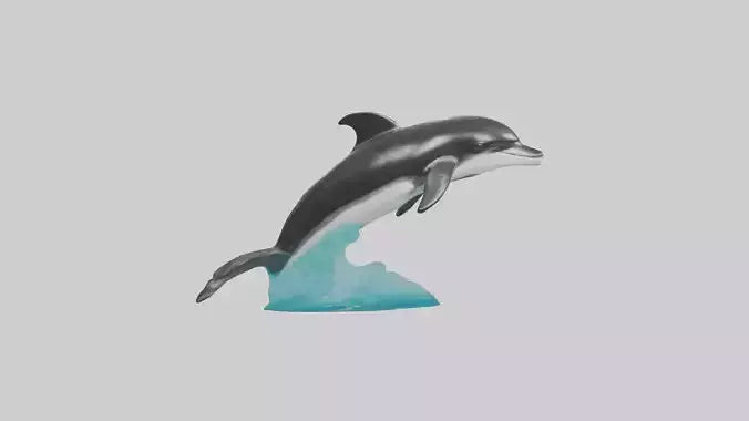 3D model Pacific Whitesided Dolphin statue model VR / AR / low-poly