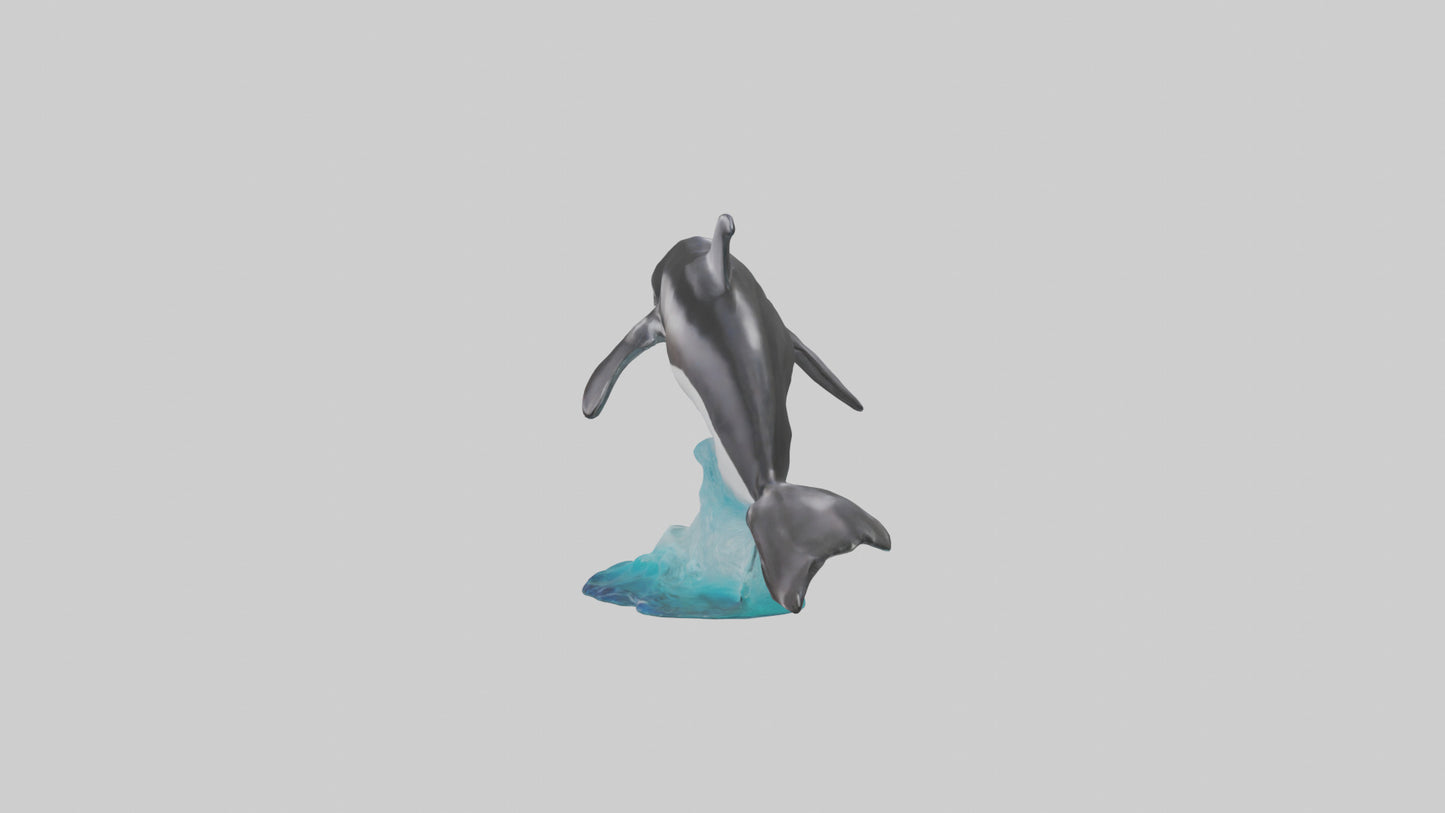 3D model Pacific Whitesided Dolphin statue model VR / AR / low-poly