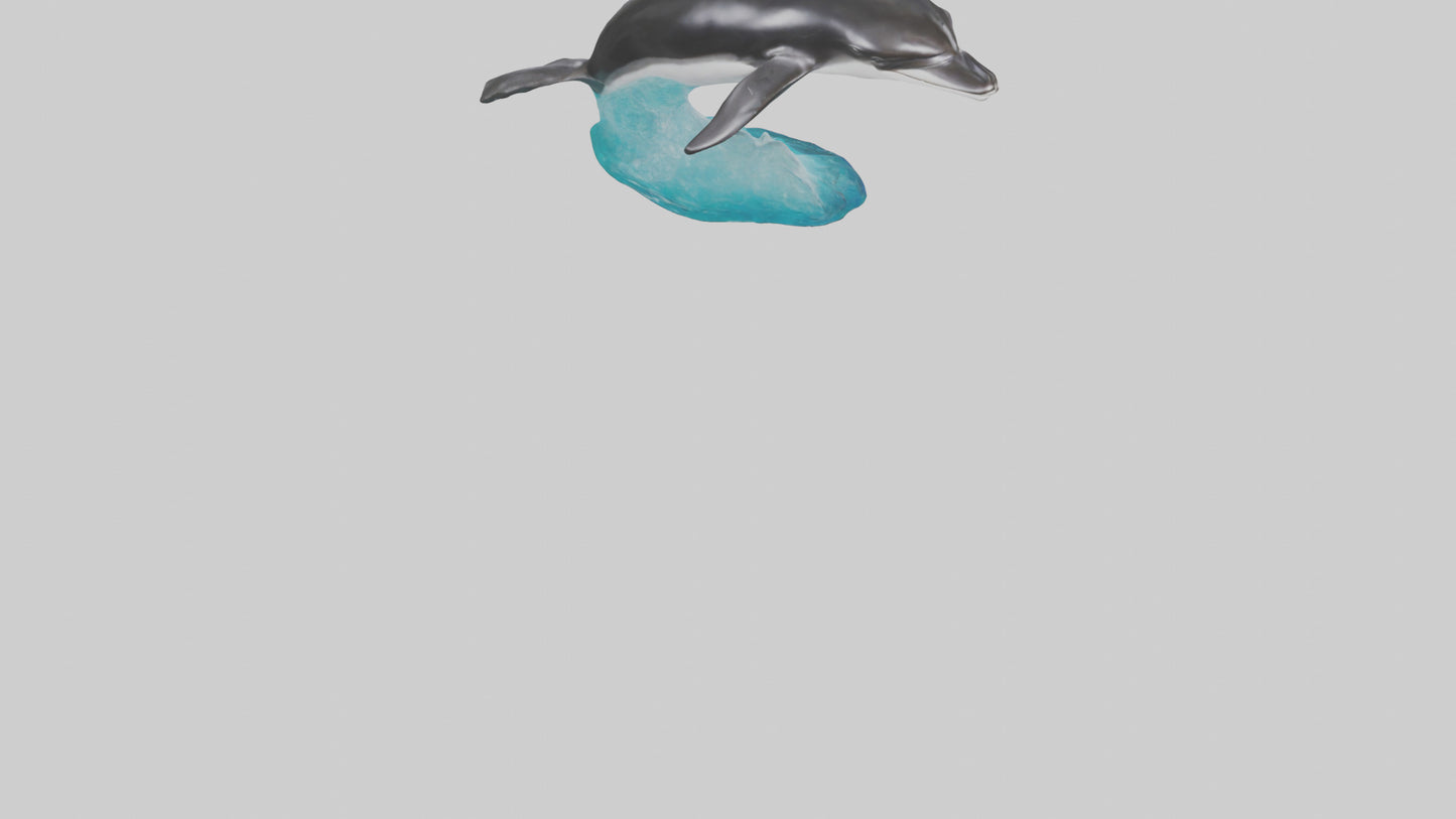 3D model Pacific Whitesided Dolphin statue model VR / AR / low-poly