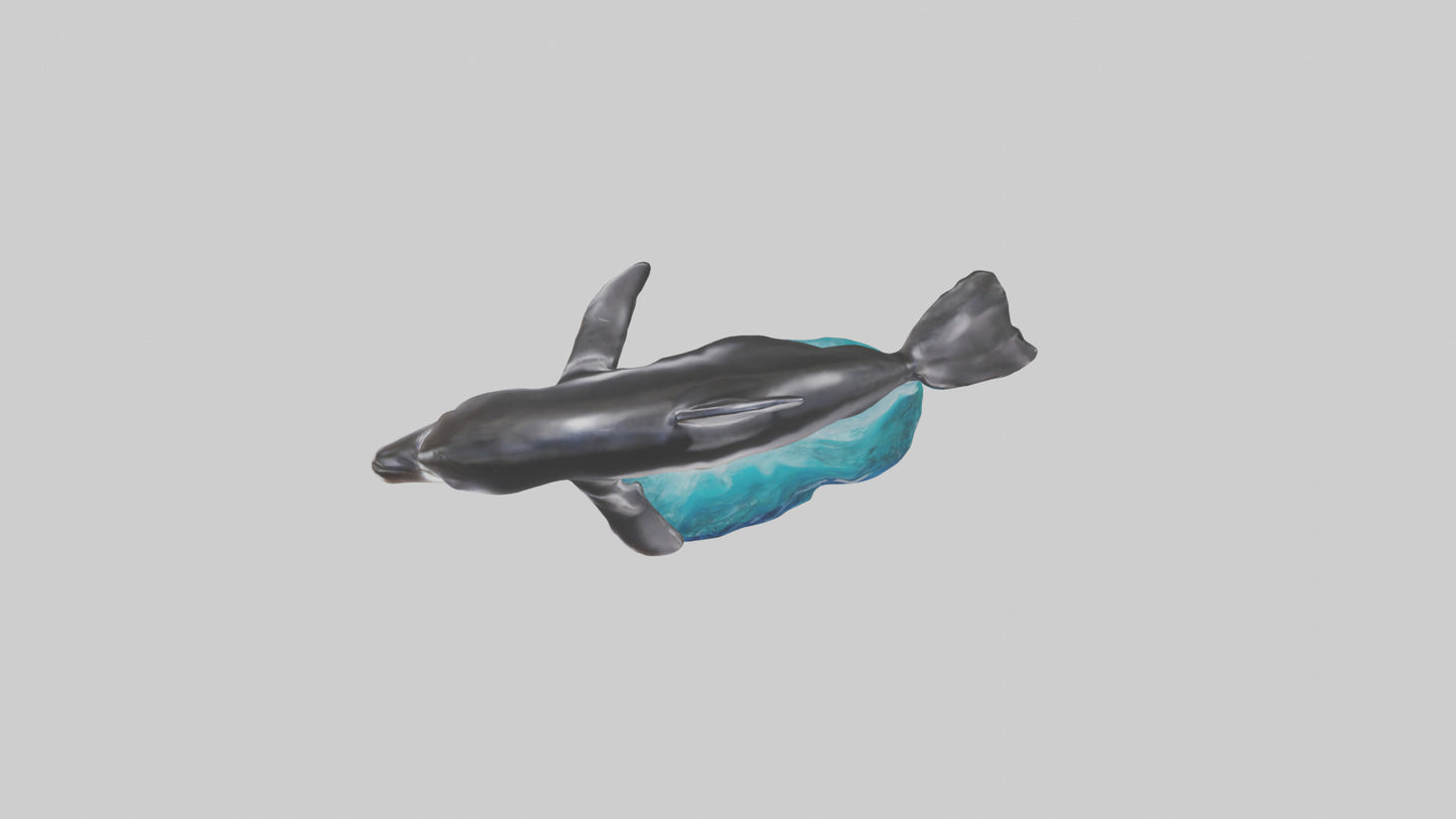 3D model Pacific Whitesided Dolphin statue model VR / AR / low-poly