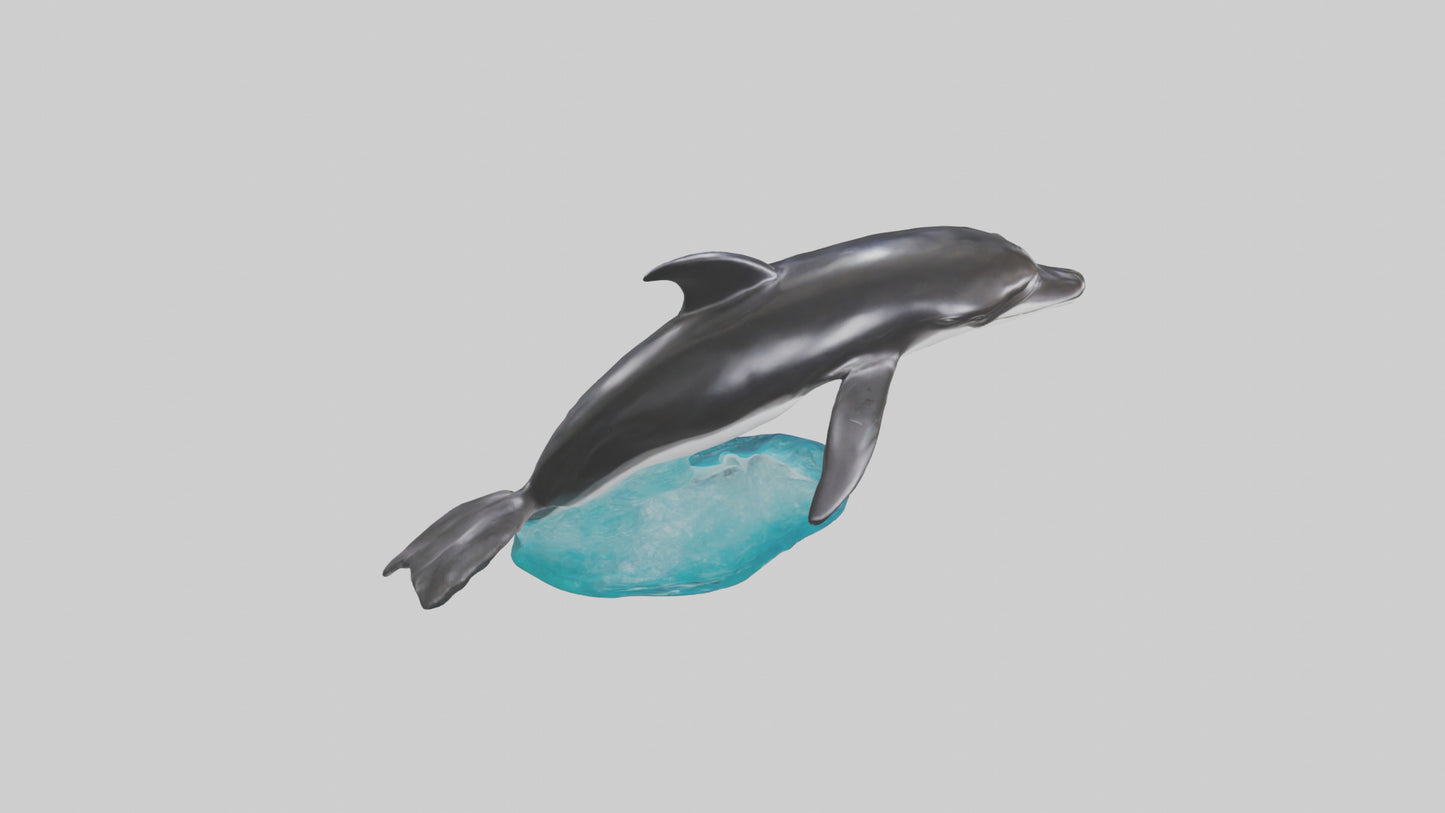 3D model Pacific Whitesided Dolphin statue model VR / AR / low-poly