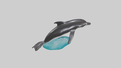 3D model Pacific Whitesided Dolphin statue model VR / AR / low-poly