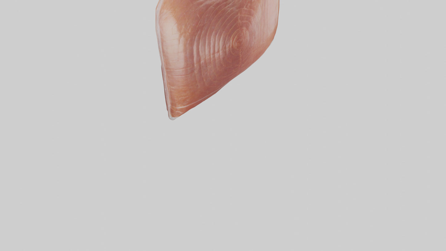 3D model Packaged Ham model VR / AR / low-poly