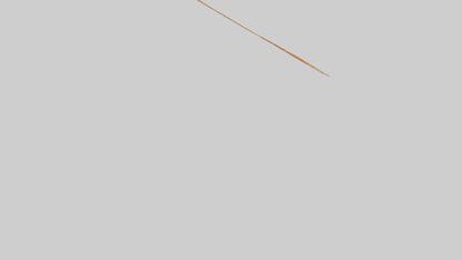 3D model Packaged Pepperoni model VR / AR / low-poly