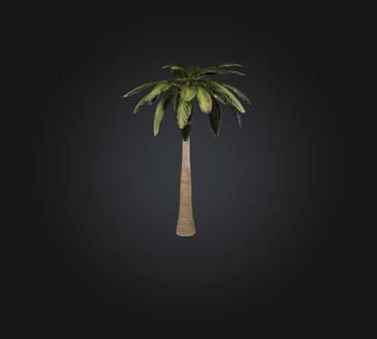 3D model Palm Tree VR / AR / low-poly