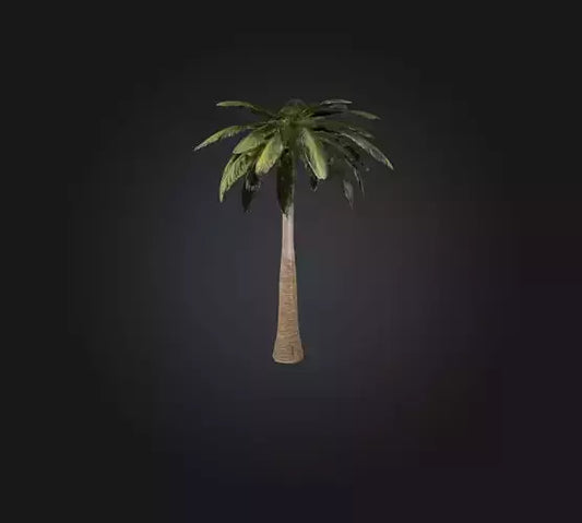 3D model Palm Tree VR / AR / low-poly