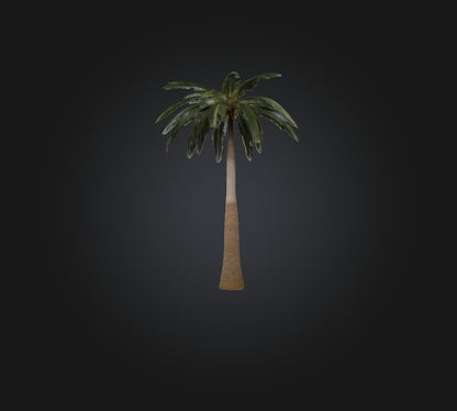 3D model Palm Tree VR / AR / low-poly