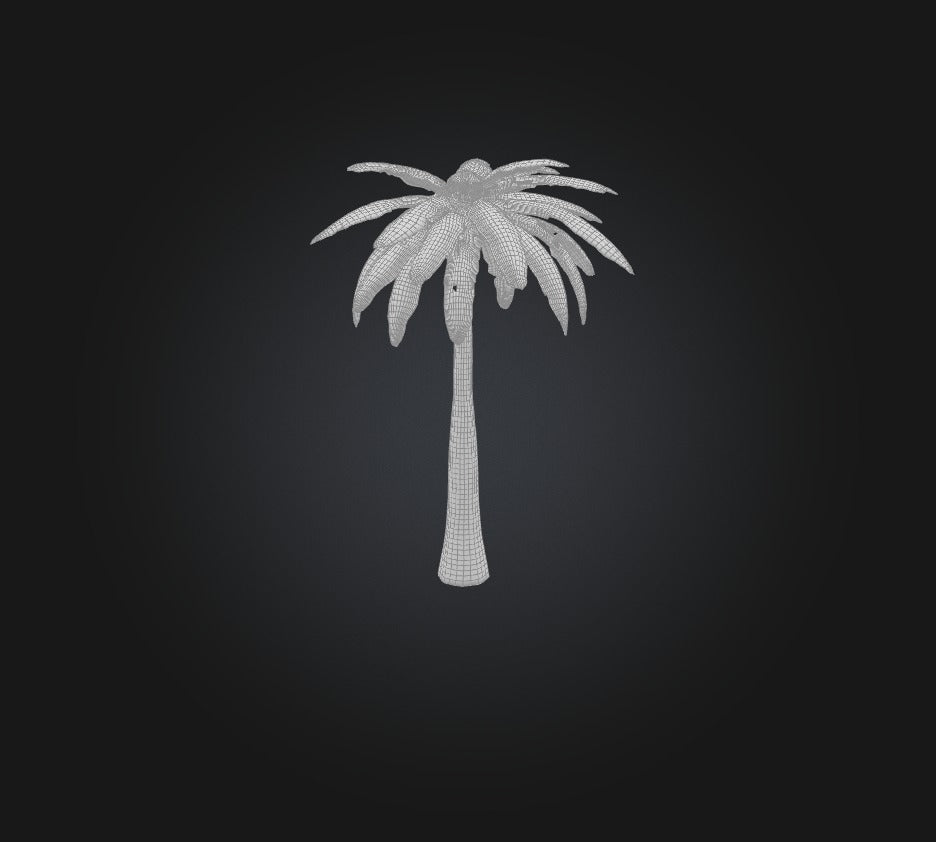 3D model Palm Tree VR / AR / low-poly
