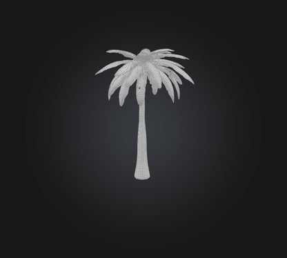 3D model Palm Tree VR / AR / low-poly