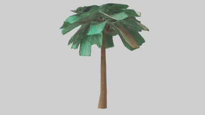 3D model Palm tree model VR / AR / low-poly