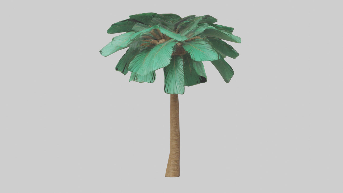 3D model Palm tree model VR / AR / low-poly
