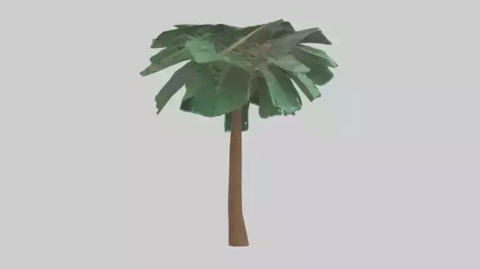 3D model Palm tree model VR / AR / low-poly