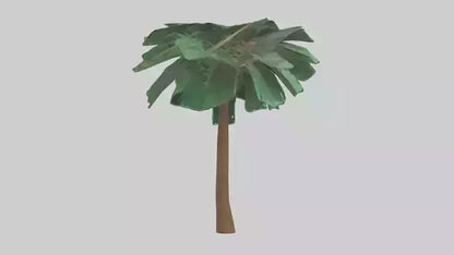 3D model Palm tree model VR / AR / low-poly