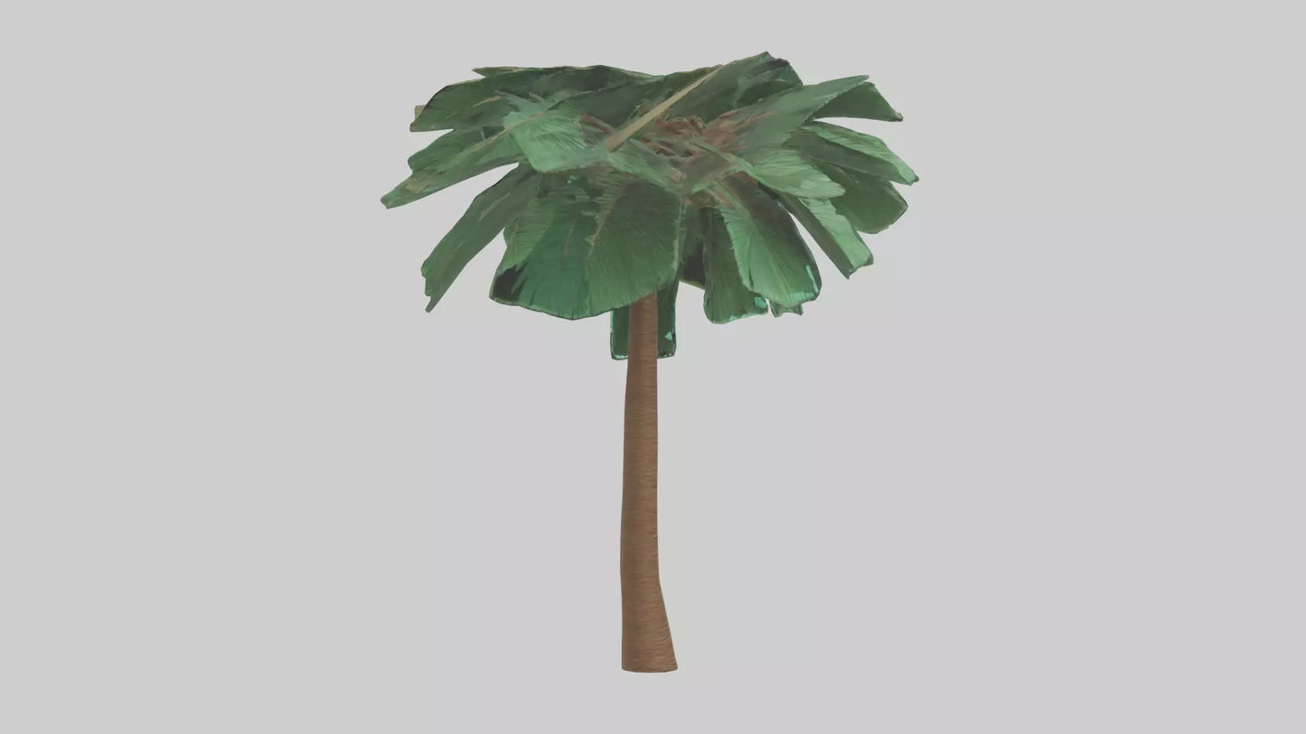 3D model Palm tree model VR / AR / low-poly