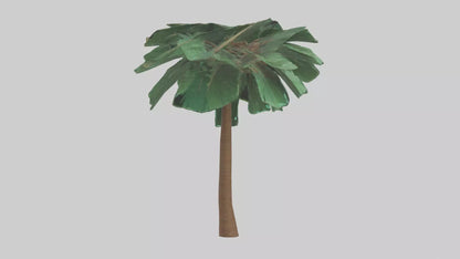 3D model Palm tree model VR / AR / low-poly