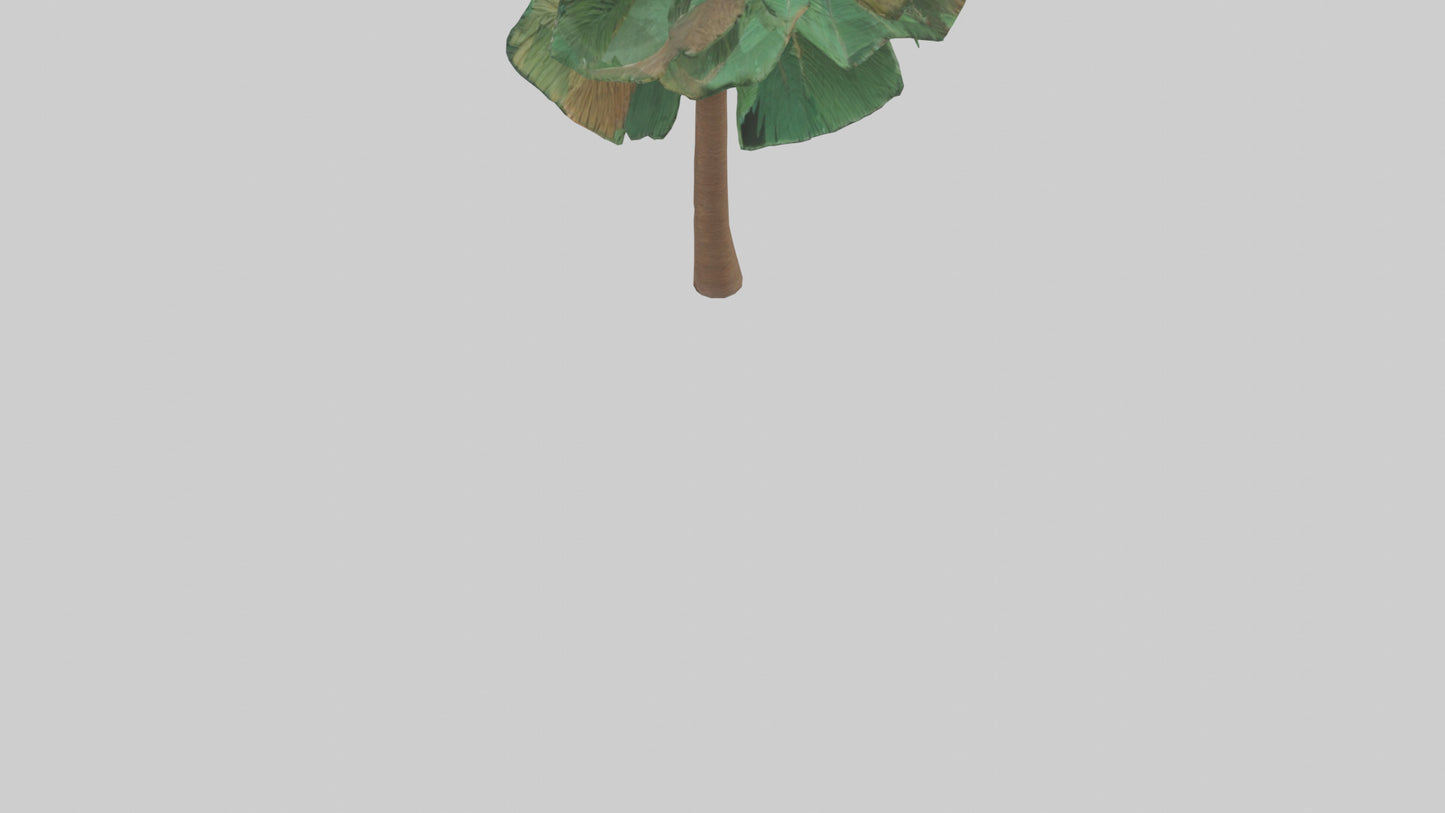 3D model Palm tree model VR / AR / low-poly