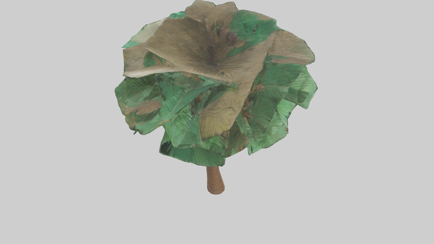 3D model Palm tree model VR / AR / low-poly
