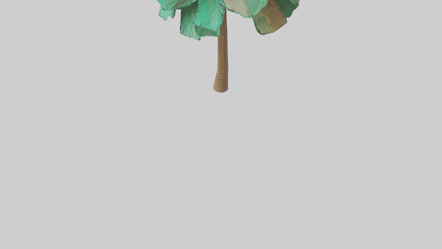 3D model Palm tree model VR / AR / low-poly