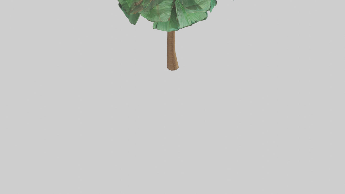 3D model Palm tree model VR / AR / low-poly