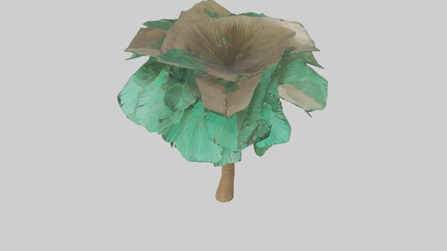 3D model Palm tree model VR / AR / low-poly
