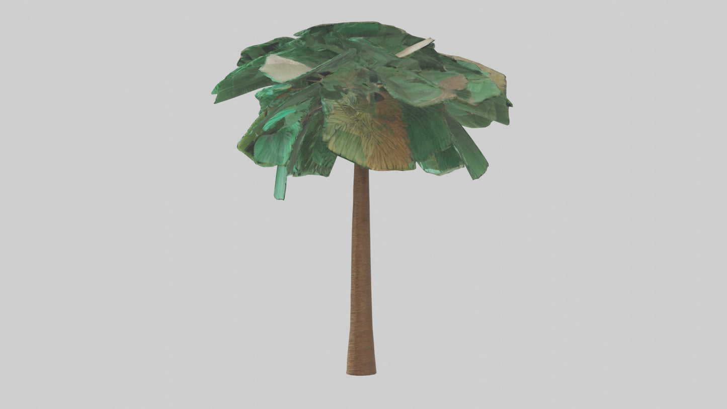 3D model Palm tree model VR / AR / low-poly