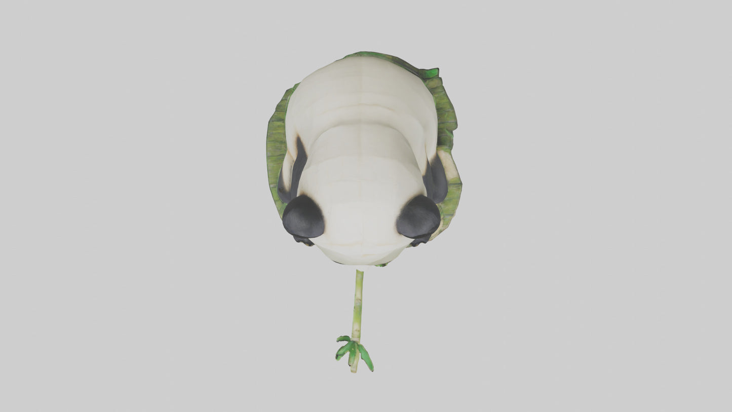 3D model Panda chewing bamboo model VR / AR / low-poly