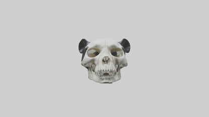 3D model Panda Skull VR / AR / low-poly